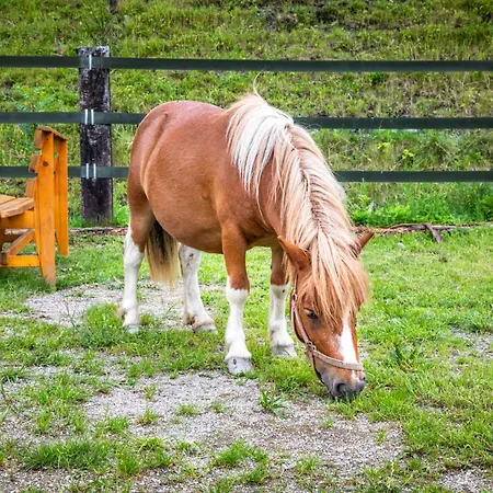 Biobauernhof Torbauer