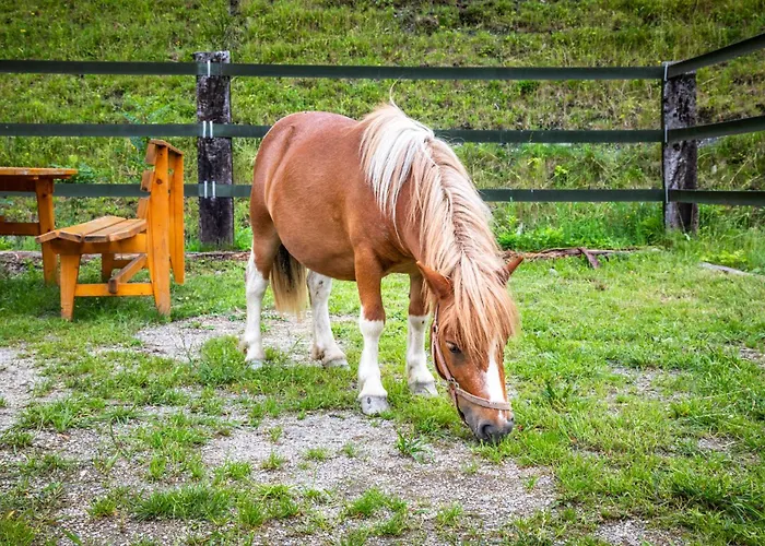 Biobauernhof Torbauer