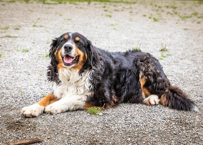 Biobauernhof Torbauer Διαμέρισμα