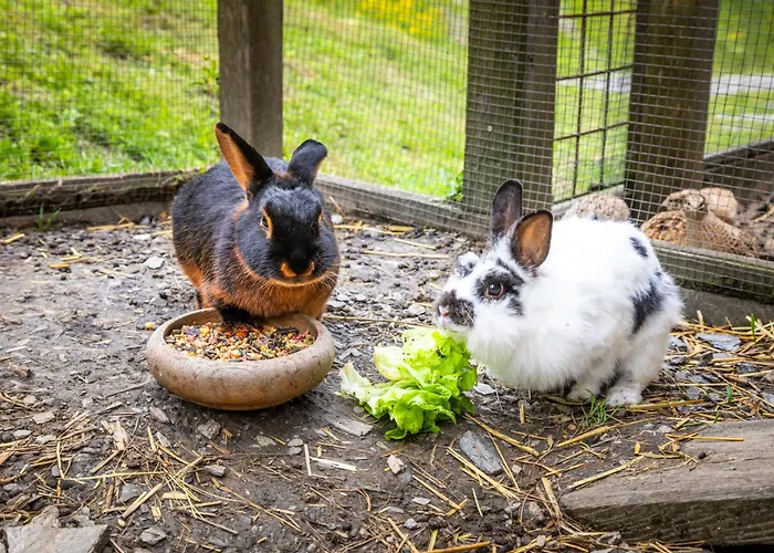 Διαμέρισμα Biobauernhof Torbauer *