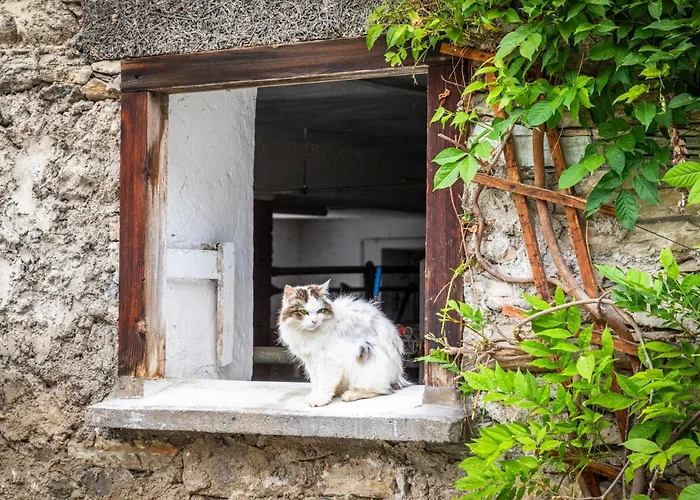 Biobauernhof Torbauer *